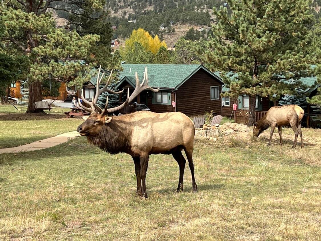Mountain Shadows Resort Estes Park Exterior photo
