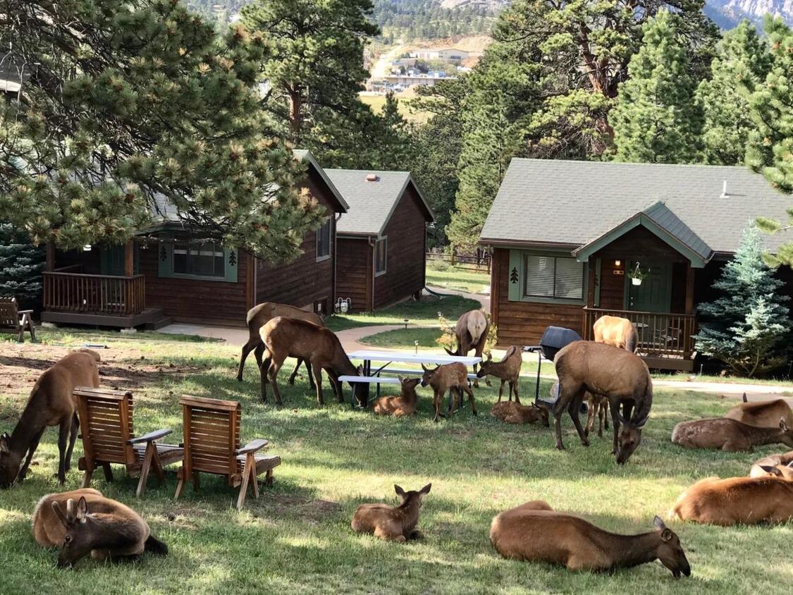 Mountain Shadows Resort Estes Park Exterior photo
