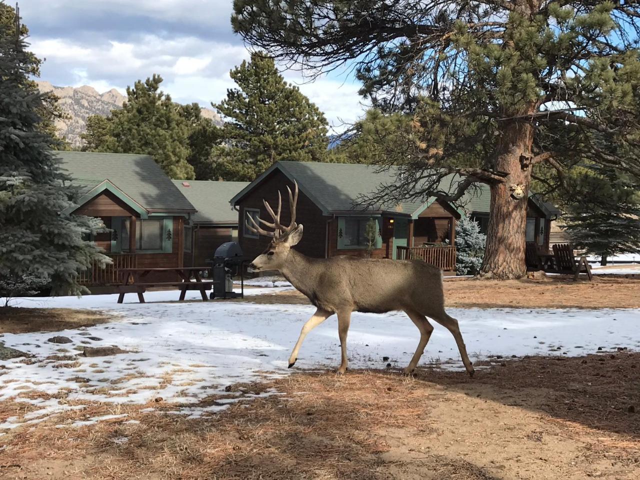 Mountain Shadows Resort Estes Park Exterior photo
